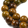 Natural Ocean Jasper Beads Strands G-P503-8MM-07-4