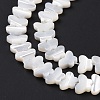 Natural Trochus Shell Beads Strands SSHEL-H070-05-5