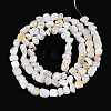 Natural Freshwater Shell Beads Strands SHEL-N038-06A-2