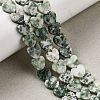 Natural Green Spot Jasper  Beads Strands G-M403-A22-03-1