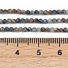 Natural Kyanite Beads Strands LS-G-RM2025-A34-2mm-5