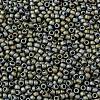 TOHO 8/0 Round Beads SEED-XTR08-0613-2