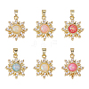 6Pcs 6 Colors Rack Plating Brass Pendant KK-DC0004-98-1