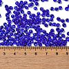 Transparent Colours Glass Seed Beads SEED-P006-02A-16-4