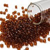 TOHO 6/0 Round Beads SEED-XTR06-0941-1