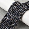 Natural Sapphire Beads Strands G-G259-D06-4mm-1