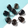 Natural Smoky Quartz Beads Strands G-P528-E09-01-2