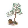 Natural Green Aventurine Tree Display Decoration DJEW-G027-04RG-03-2