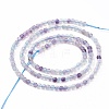 Natural Fluorite Beads Strands G-H266-21-5