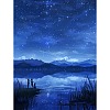 Starry Sky DIY Diamond Painting Kit PW-WGEE68B-04-1