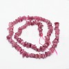 Chips Natural Tourmaline Beads Strands LS-G-N0164-04B-3