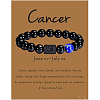 12 Constellation Natural Round Lapis Lazuli Beads Stretch Bracelets WGD22B0-13-1
