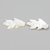 Natural White Shell Mother of Pearl Shell Beads SHEL-T017-17-3