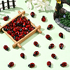 60Pcs Handmade Lampwork Beads Strands LAMP-LT0001-02-5