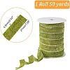 Sparkle Polyester Ribbon OCOR-WH0082-158A-02-2