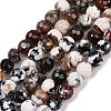 Natural Fire Crackle Agate Beads Strands G-C082-A01-28-2