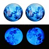 Fluorescent Glass Cabochons GGLA-T004-12D-5