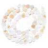 4 Strands Natural Freshwater Shell Beads Strands SHEL-PA0001-06-7