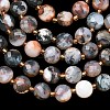 Natural Red Tree Agate Beads Strands G-K389-B89-01-4