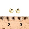 304 Stainless Steel Bead Caps STAS-L285-007G-3