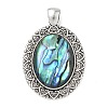 Natural Paua Shell Pendants SH-K001-01B-1