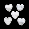Handmade Lampwork Beads LAMP-K047-01B-1
