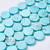 Natural Magnesite Beads Strands TURQ-K003-16-1