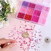 156g 12 Style Glass Seed Beads SEED-SC0001-32B-06-3