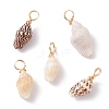 Natural Shell Pendants PALLOY-JF01164-02-1