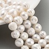Natural Cultured Freshwater Pearl Beads Strands PEAR-C003-20A-2