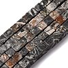 Natural Map Stone Beads Strands X-G-T139-8x8-45A-2