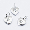 Brass Micro Pave Cubic Zirconia Charms RB-I078-67P-NR-1