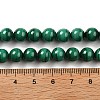 Natural Malachite Beads Strands G-A271-A01-8mm-5