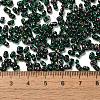 Spray Painted Glass Seed Beads SEED-F005-10A-05-4