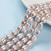 Natural Cultured Freshwater Pearl Beads Strands LS-PEAR-R064-16-1