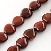 Natural Red Jasper Beads Strands G-R190-20mm-15-1