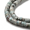 Natural Larimar Beads Strands G-Q024-B03-01-4