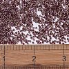 MIYUKI Delica Beads X-SEED-J020-DB1242-4