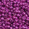 6/0 Glass Seed Beads E06900B4-1