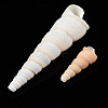 Natural Spiral Shell Beads SSHEL-S266-030-4