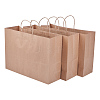 Kraft Paper Bag with Handle CARB-BC0001-01-2
