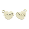 Tibetan Style Alloy Pendants TIBEP-5408-AS-FF-1