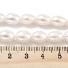 Natural Cultured Freshwater Pearl Beads Strands PEAR-P062-10F-5