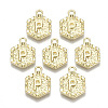 Alloy Pendants PALLOY-N157-003P-NR-1