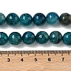 Natural Dragon Veins Agate(Dyed & Heated) Beads Strands G-M437-C01-01R-01-5