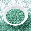 MIYUKI Delica Beads SEED-MY11-DB2053-2