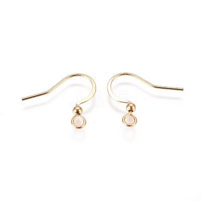 304 Stainless Steel Earring Hooks X-STAS-I120-22A-G01-1
