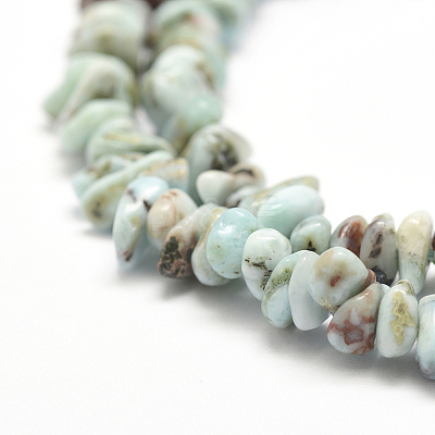 Natural Larimar Beads Strands G-P302-03-1