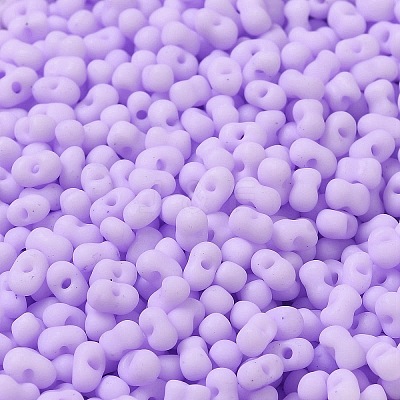 Glass Frosted Seed Beads SEED-K009-05B-04-1