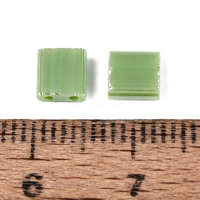 FGB 2-Hole Glass Seed Beads SEED-S031-L-124-1